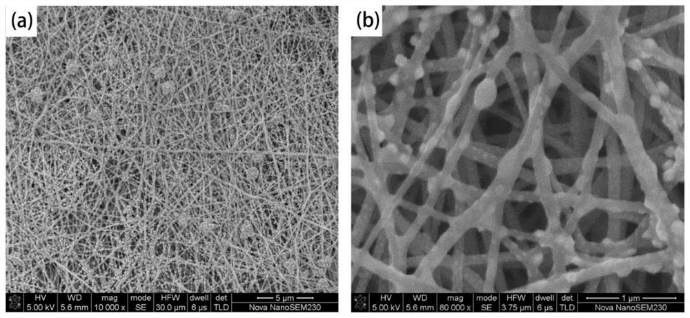 Integrated PtCu/carbon nanofiber catalyst layer, preparation method thereof and application thereof in fuel cell