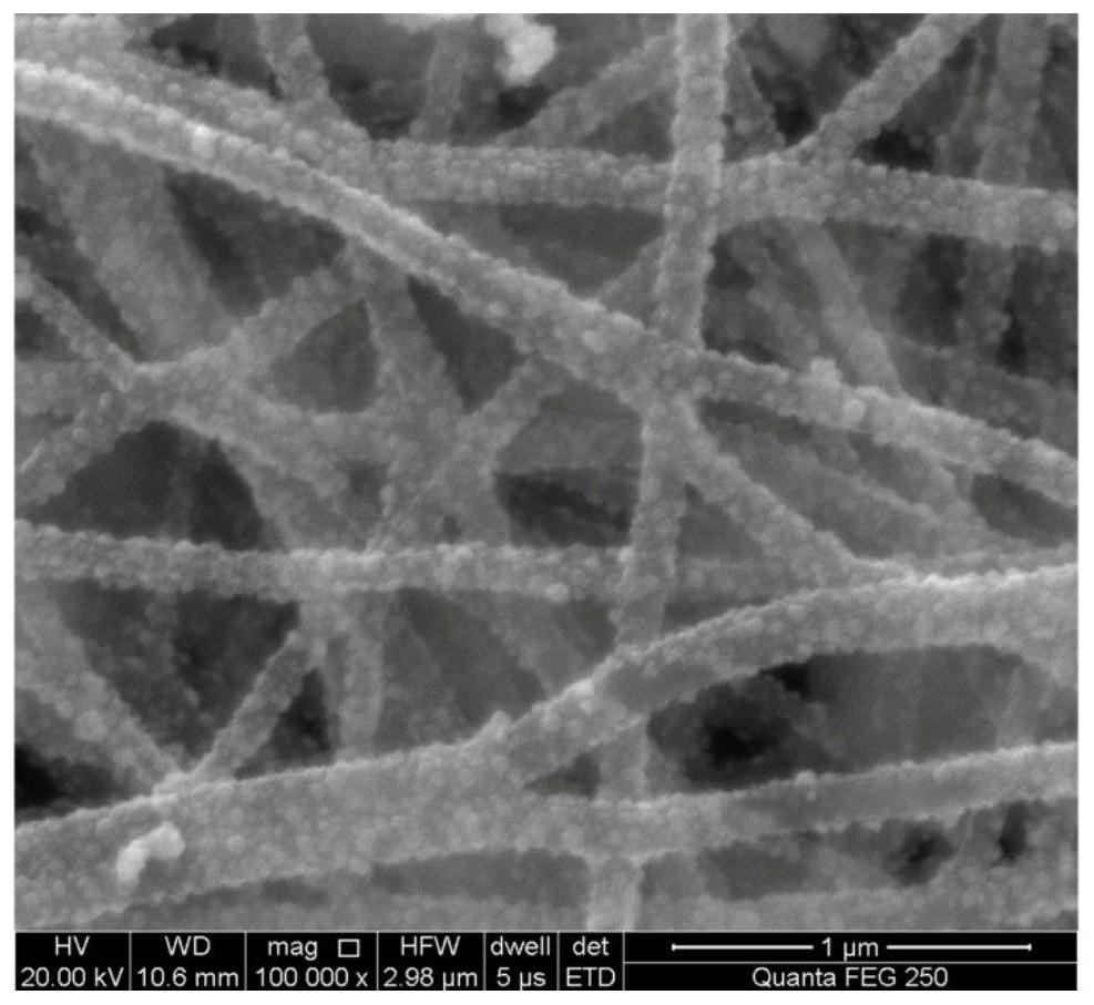 Integrated PtCu/carbon nanofiber catalyst layer, preparation method thereof and application thereof in fuel cell