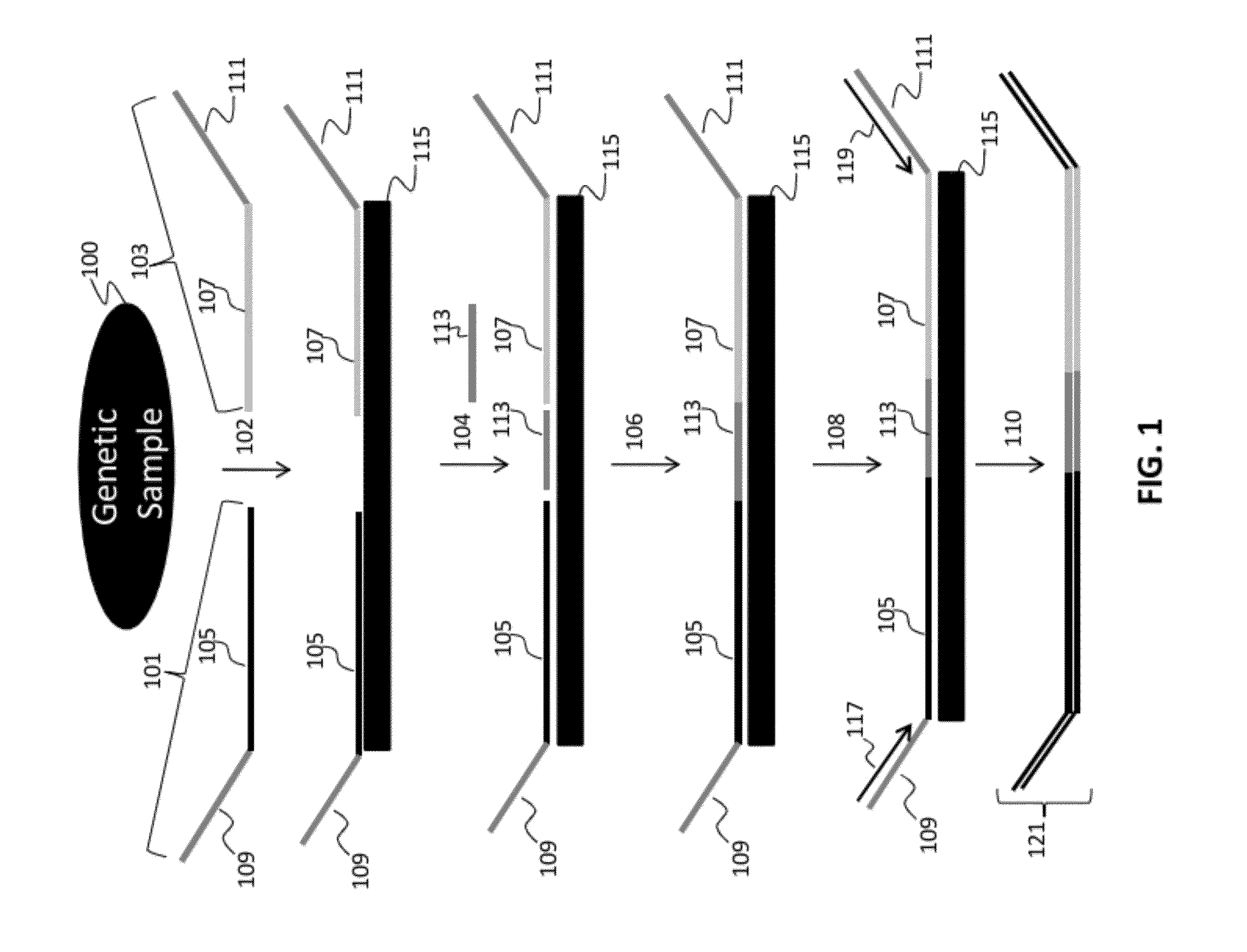 Ligation-based detection of genetic variants