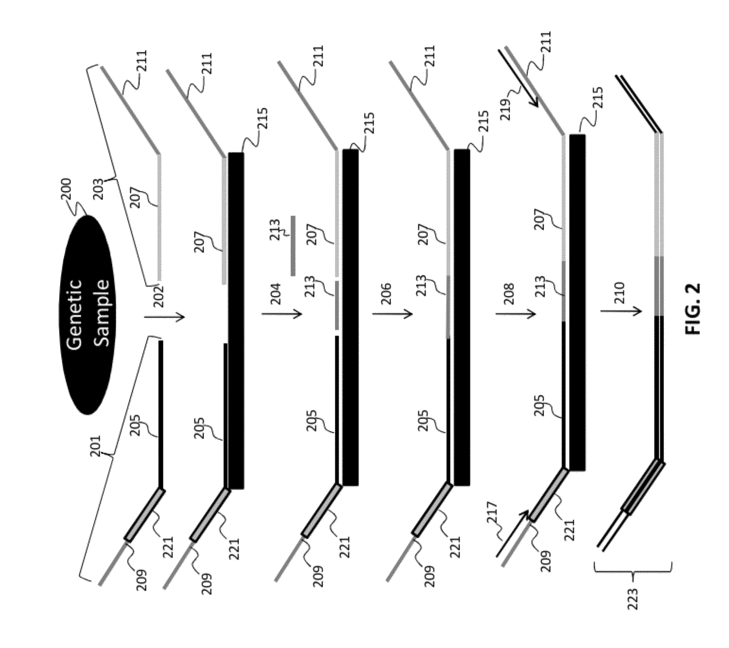 Ligation-based detection of genetic variants