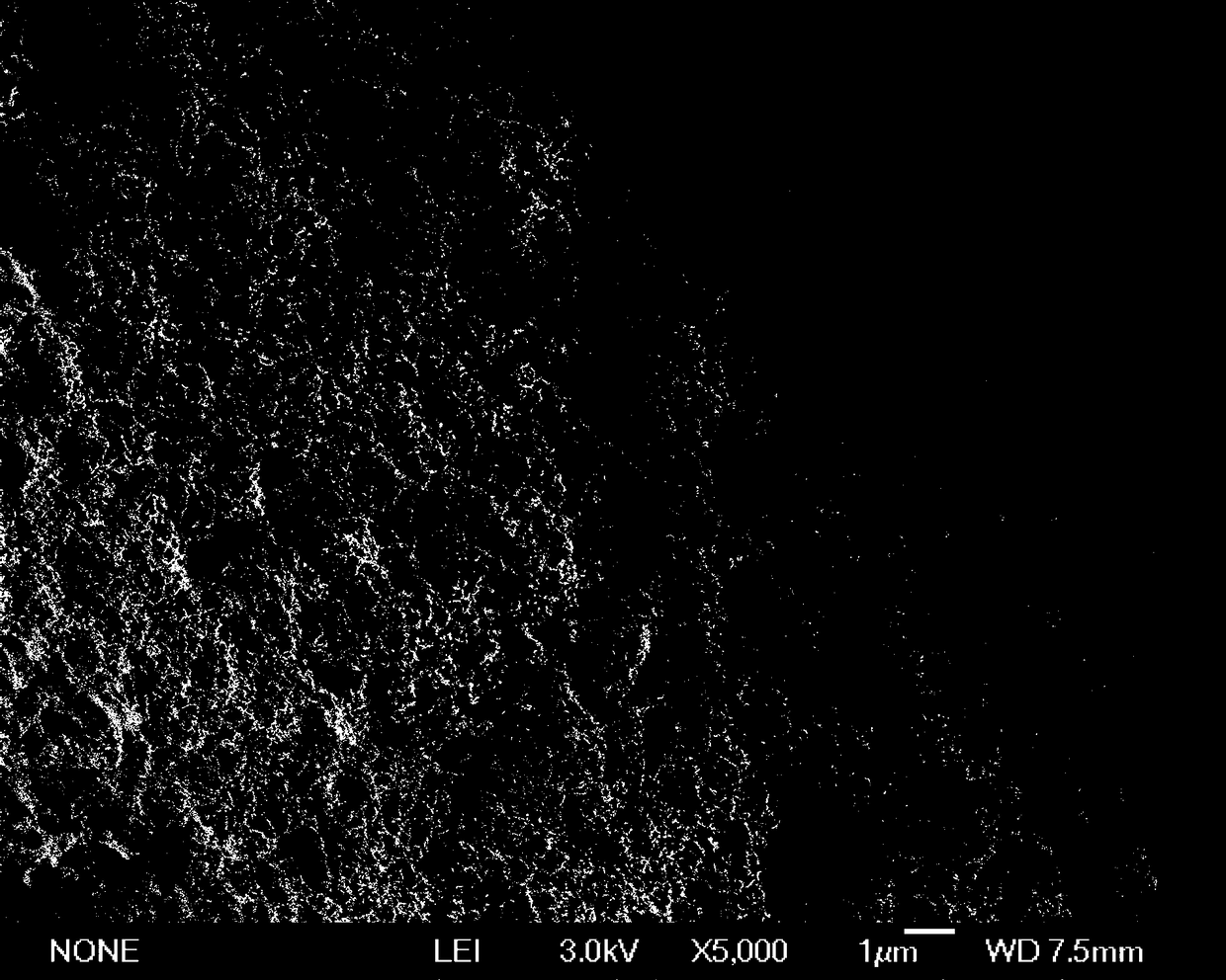 Phosphorus-accumulating bacteria immobilized small balls and application thereof