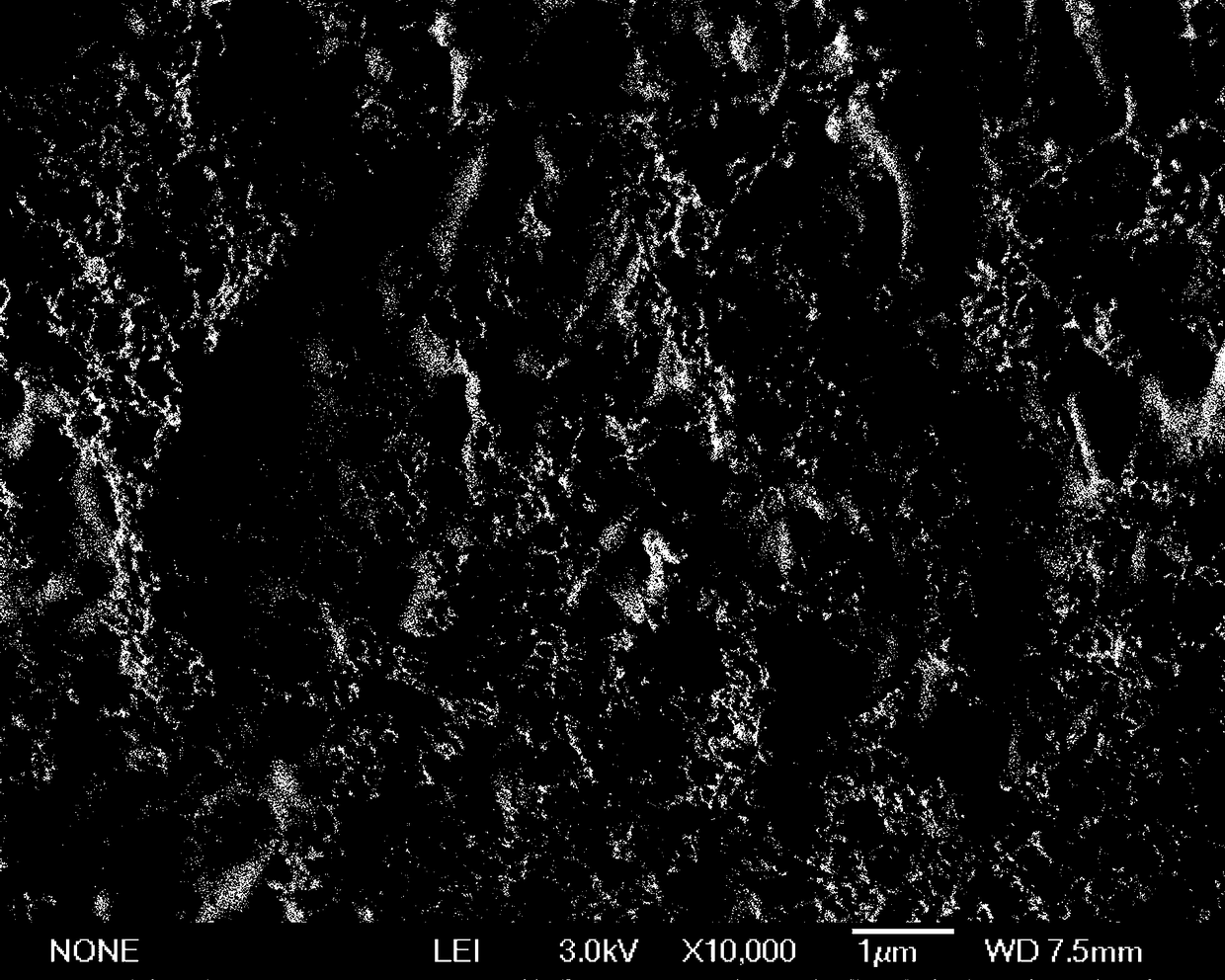 Phosphorus-accumulating bacteria immobilized small balls and application thereof