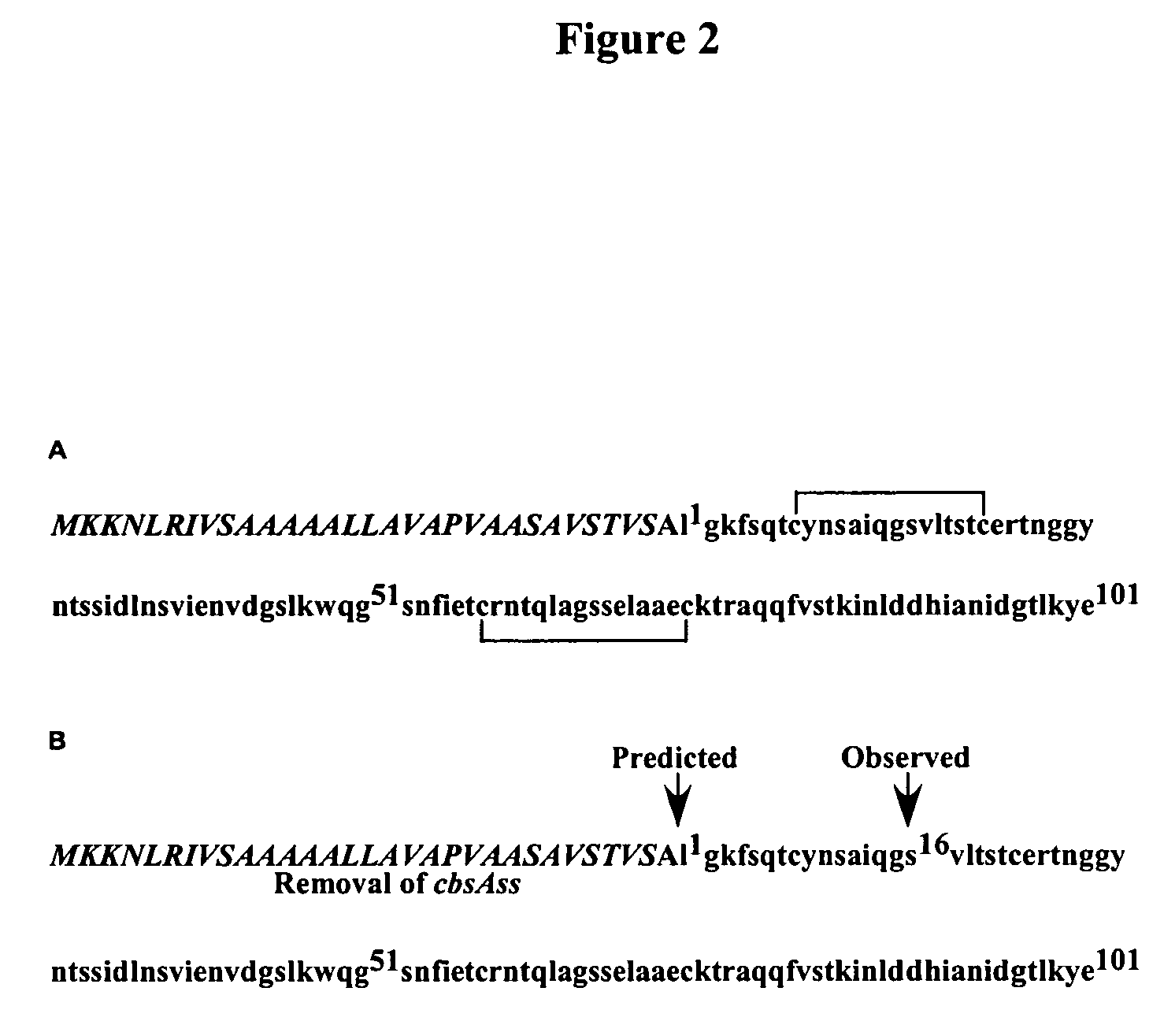 Modified cyanovirin-n polypeptide