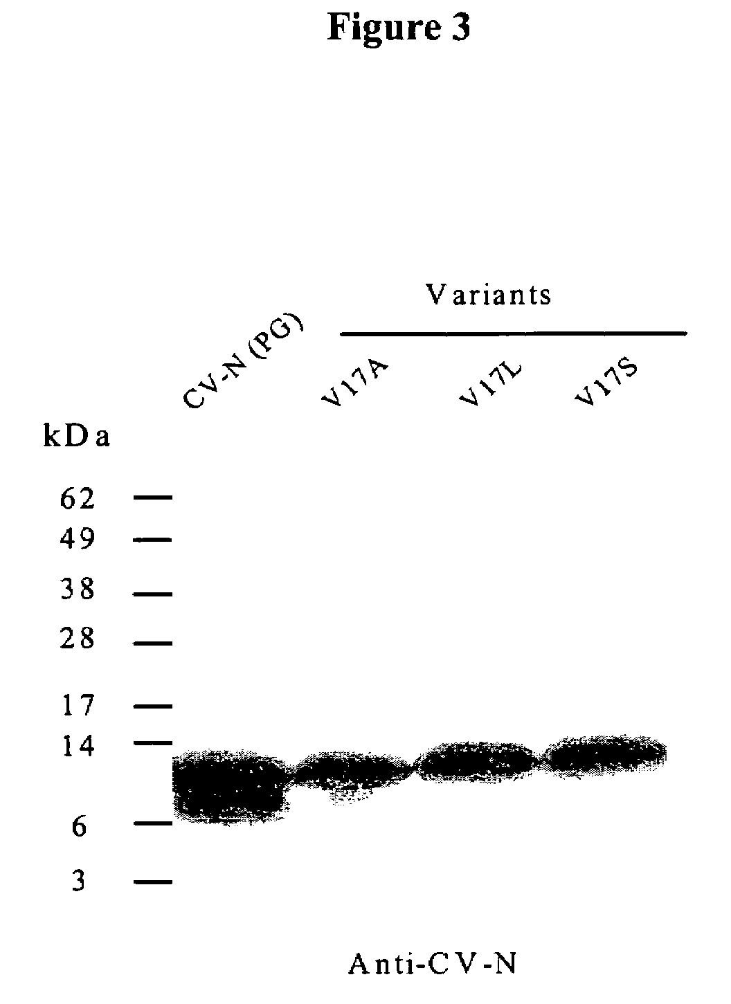 Modified cyanovirin-n polypeptide