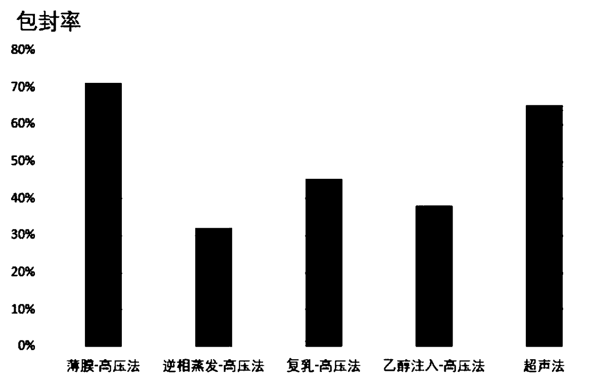 Polyglutamic acid and human epidermal growth factor nano-liposome and preparation method thereof