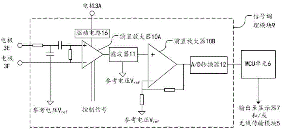 Device for measuring human body information