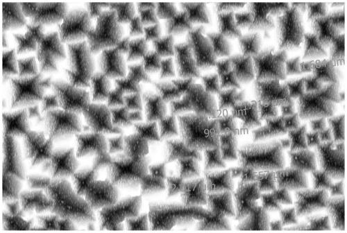 Monocrystalline silicon wafer texturing agent and texturing method using texturing agent