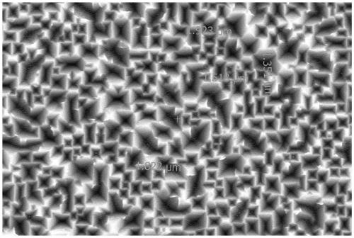 Monocrystalline silicon wafer texturing agent and texturing method using texturing agent