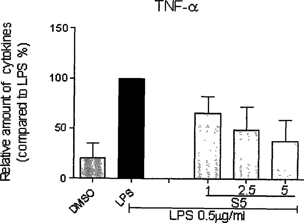 Application of curcumin analog S5 containing thiapyrone structure in preparation of anti-inflammation drugs