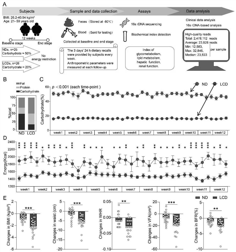 A method of using neural network model to predict the effect of low-carb diet weight loss intervention