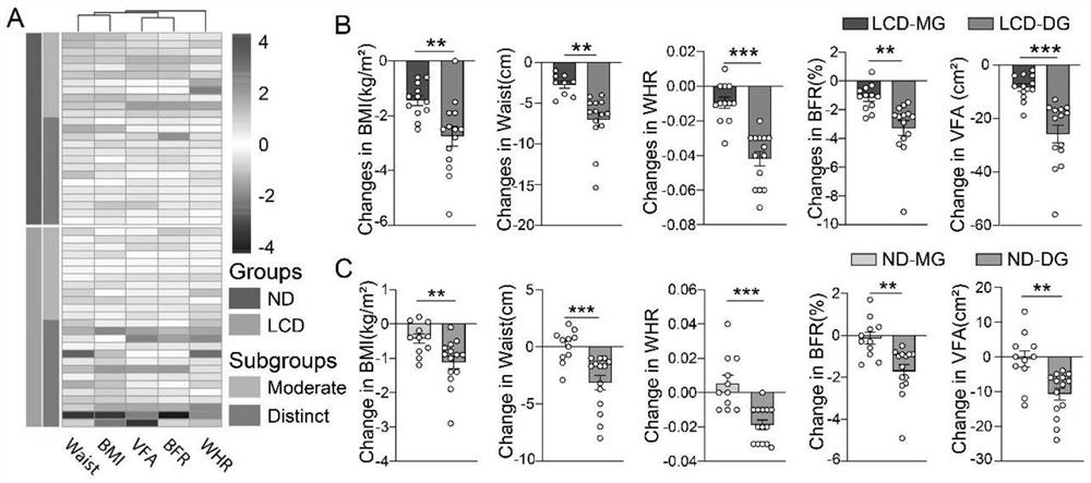 A method of using neural network model to predict the effect of low-carb diet weight loss intervention