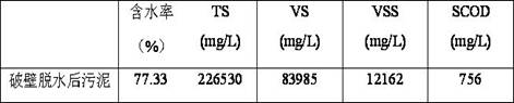 A kind of residual activated sludge drying treatment process