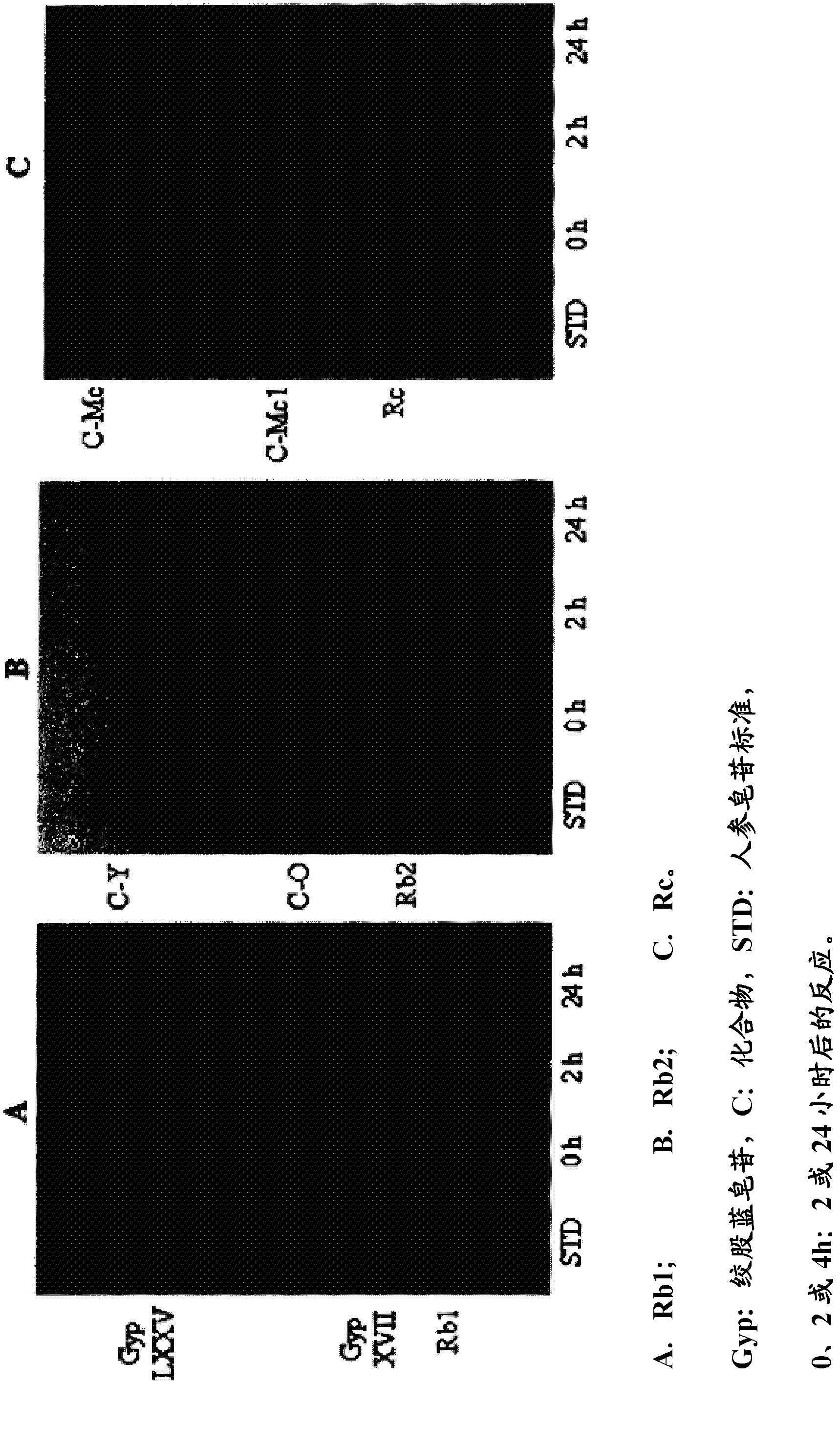 Novel ginsenoside glycosidase derived from the genus terrabacter, and use thereof