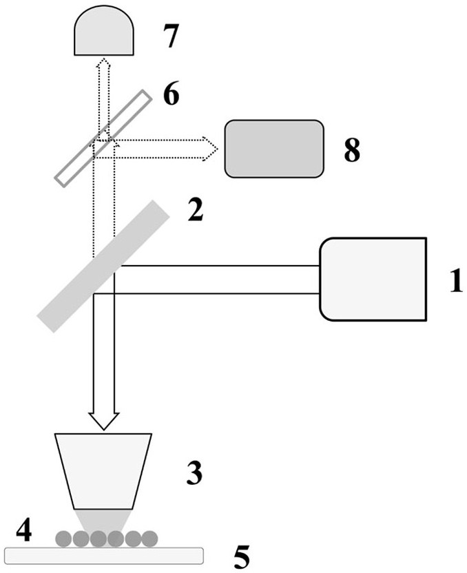 A method and device for enhancing the fluorescence intensity of gold nanospheres