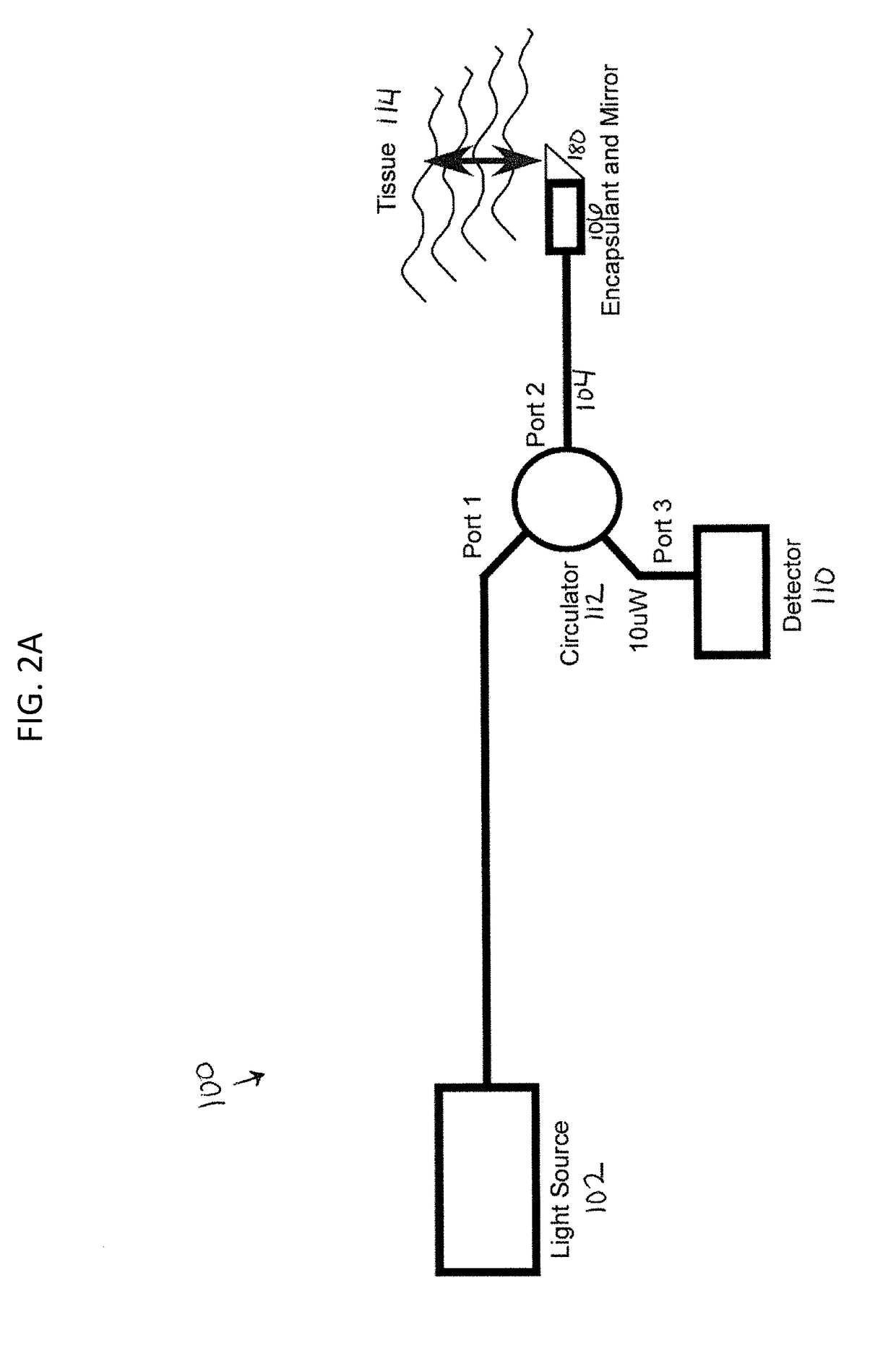 Optical coherence tomography for biological imaging