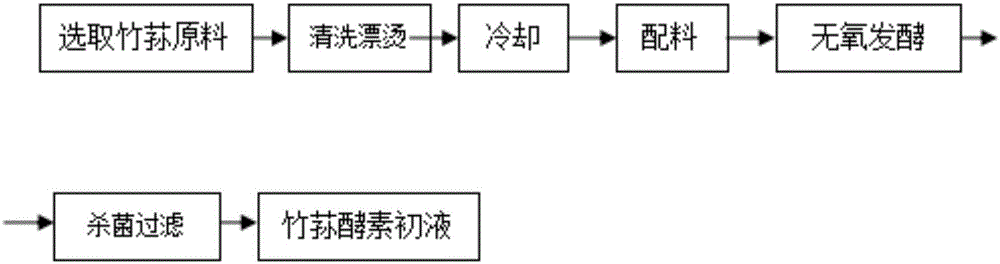 Bamboo fungus and tropical fruit complex active ferment and preparation method thereof