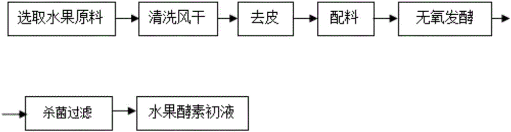 Bamboo fungus and tropical fruit complex active ferment and preparation method thereof