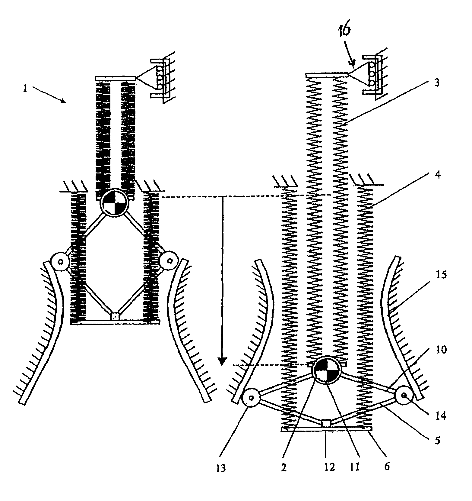 Apparatus for exercising a force on a load