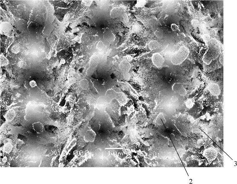 Super-hard copper-containing martensite antibiotic stainless steel