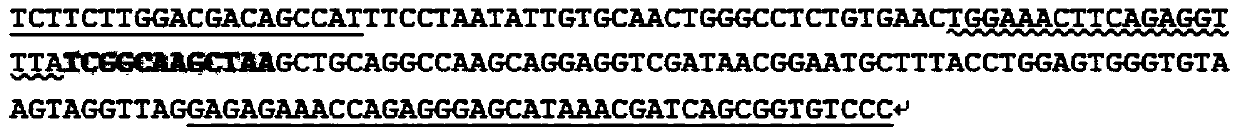 A method for detecting recessive lethal mutation of bovine apaf1 gene