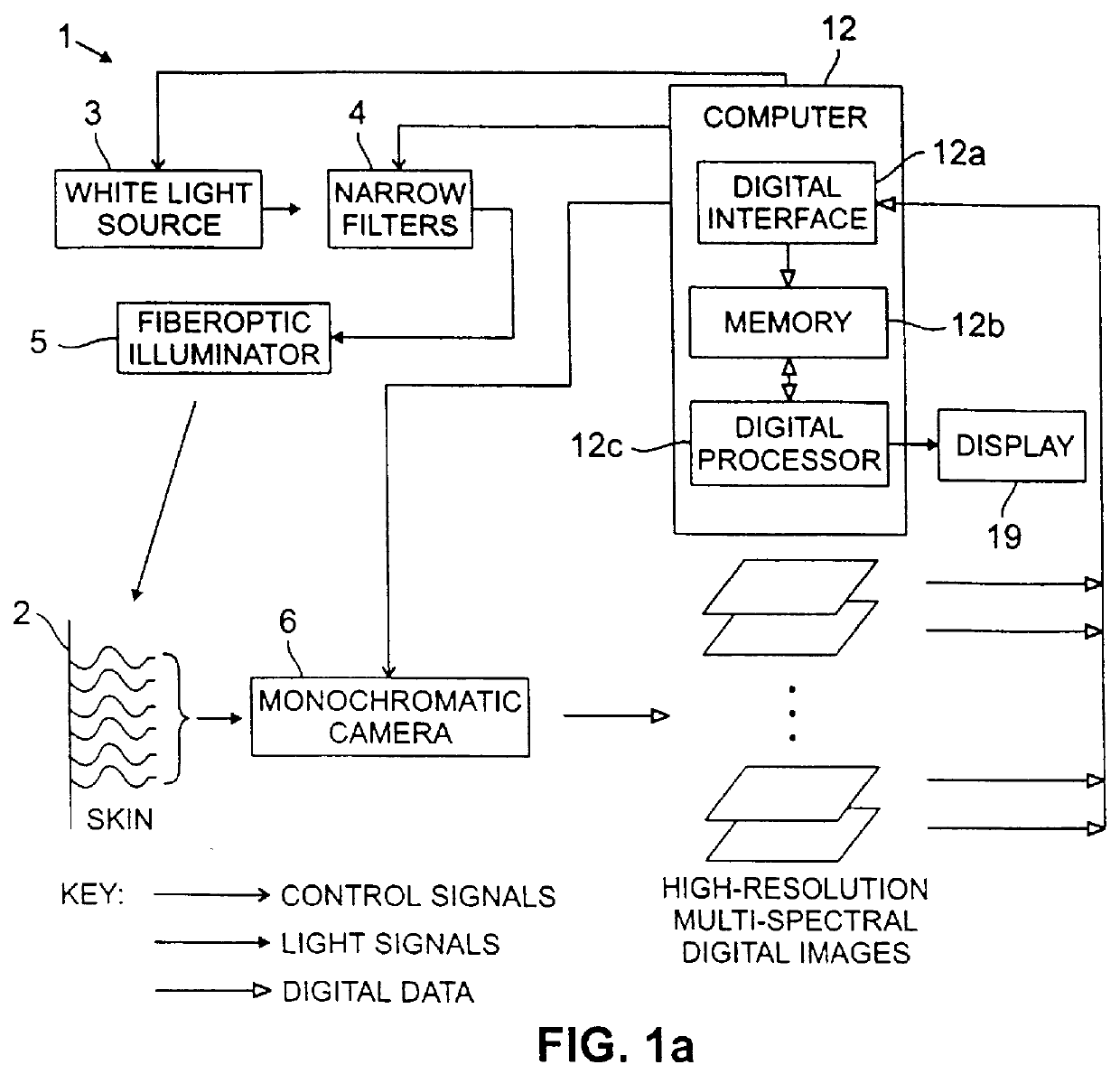 Systems and methods for the multispectral imaging and characterization of skin tissue