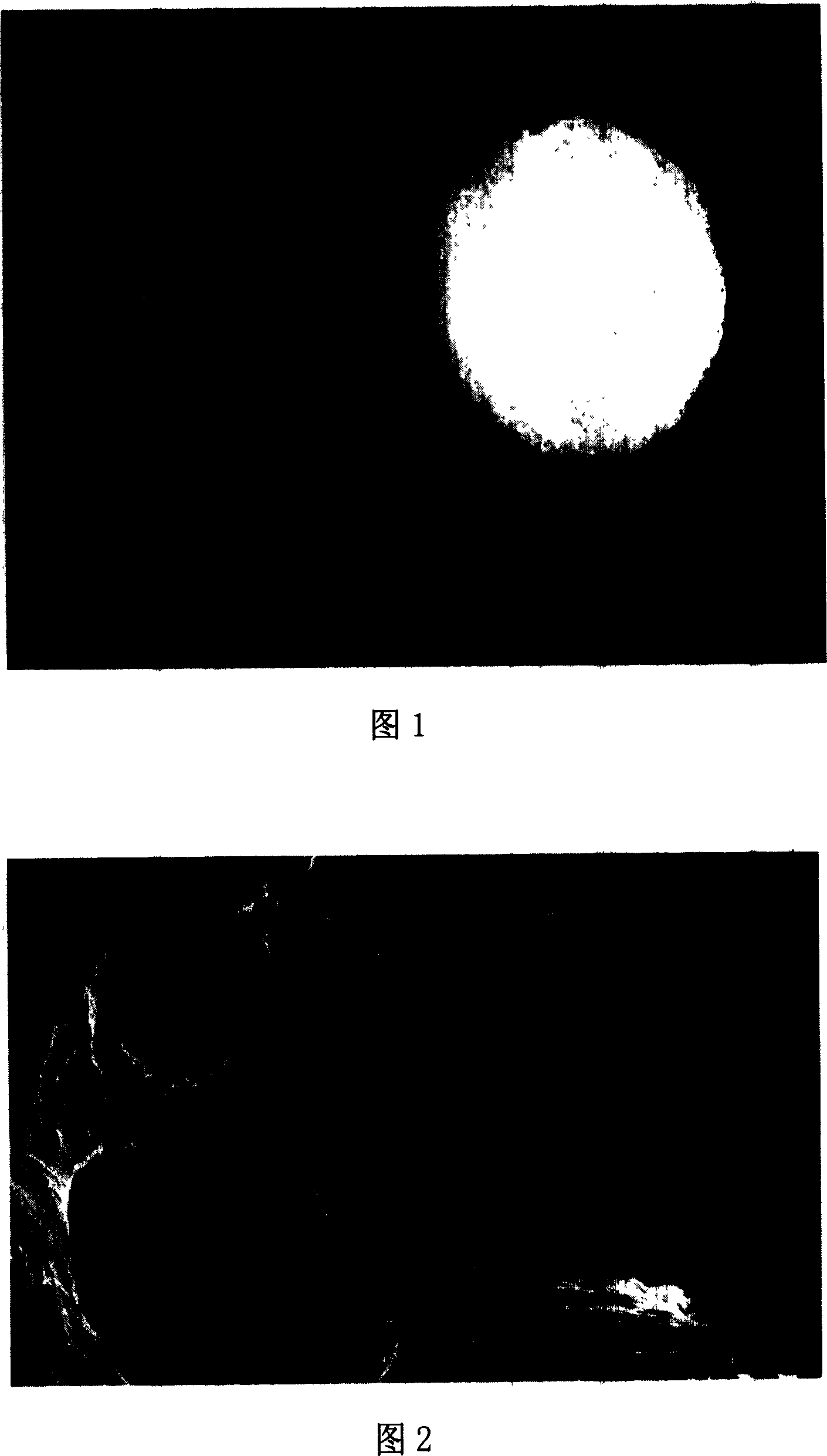 Process for preparation of polycaprolactone-chitosan network/hydroxyapatite porous compound support frame material