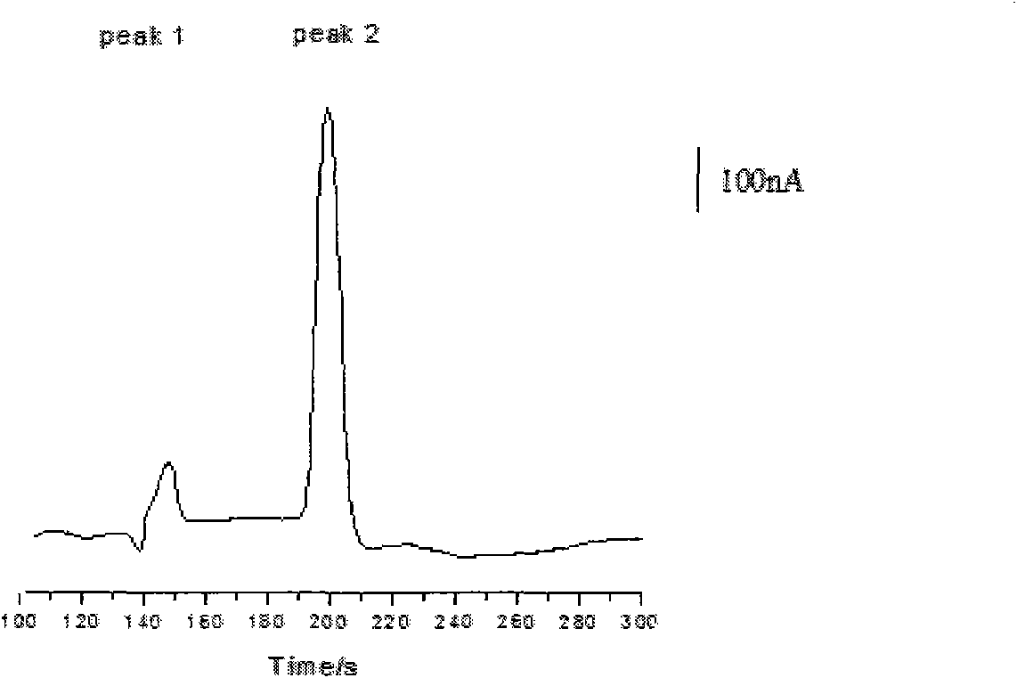 Method for detecting ciguatoxin on basis of capillary electrophoresis/electrochemistry and enzyme-linked immunoassay