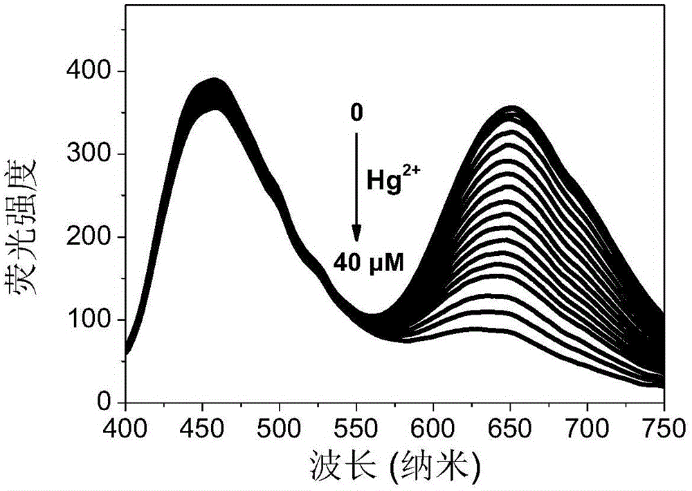 Dual emission rate type fluorescent probe for visually detecting carbon dots-Au nanoclusters of mercury ions and preparation method