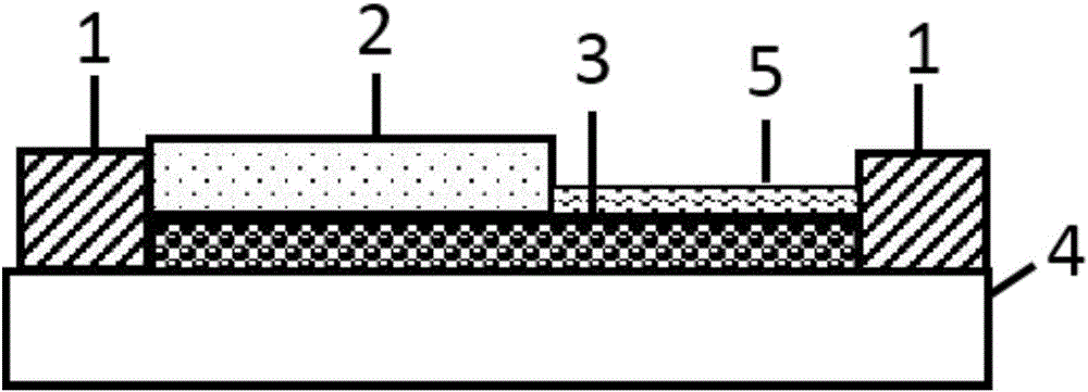 Transition metal chalcogenide homojunction, homojunction diode and preparation of homojunction