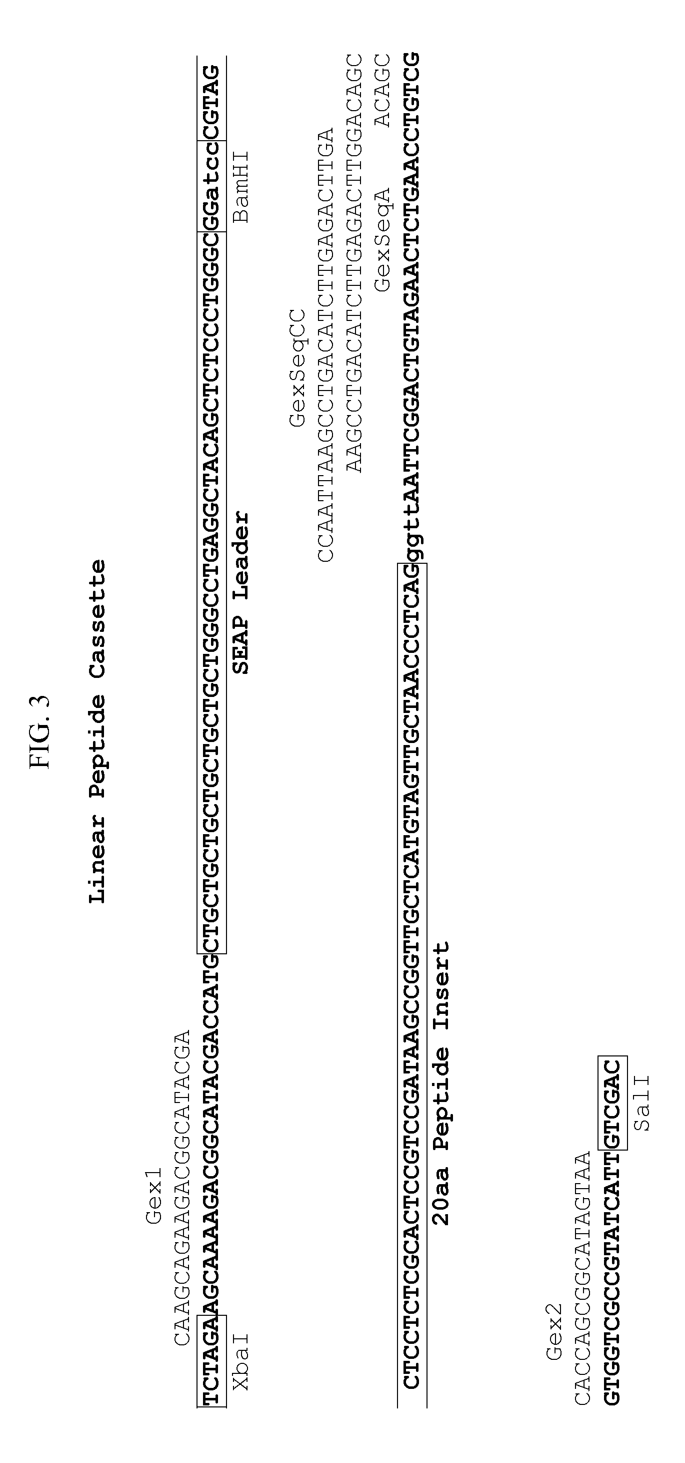 Reagents and Methods for Producing Bioactive Secreted Peptides