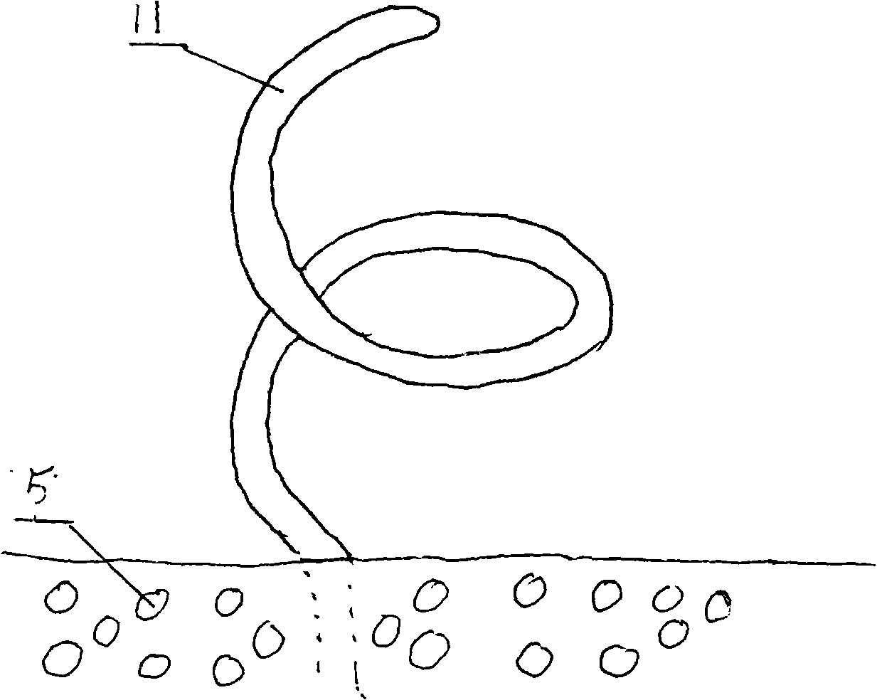 Technique for quickly cultivating elm landscape