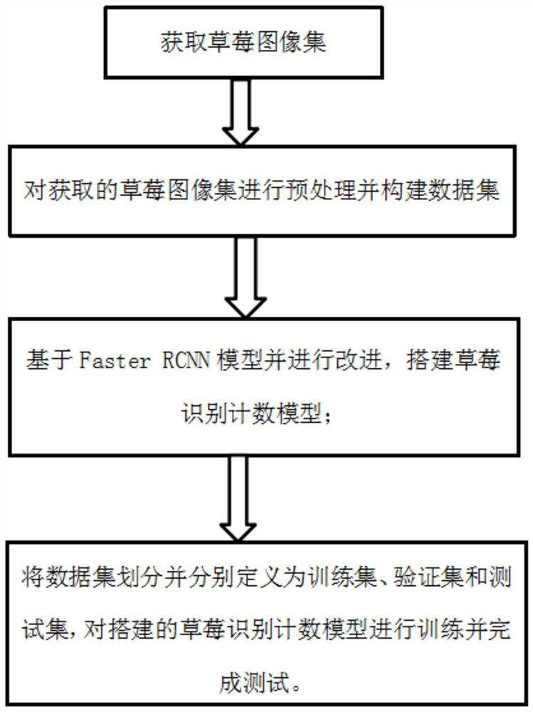 Establishment method and application of strawberry identification and counting model