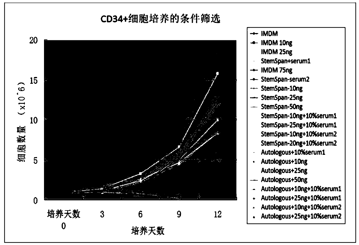 A culture method for expanding hematopoietic stem cells in vitro and enhancing their homing ability