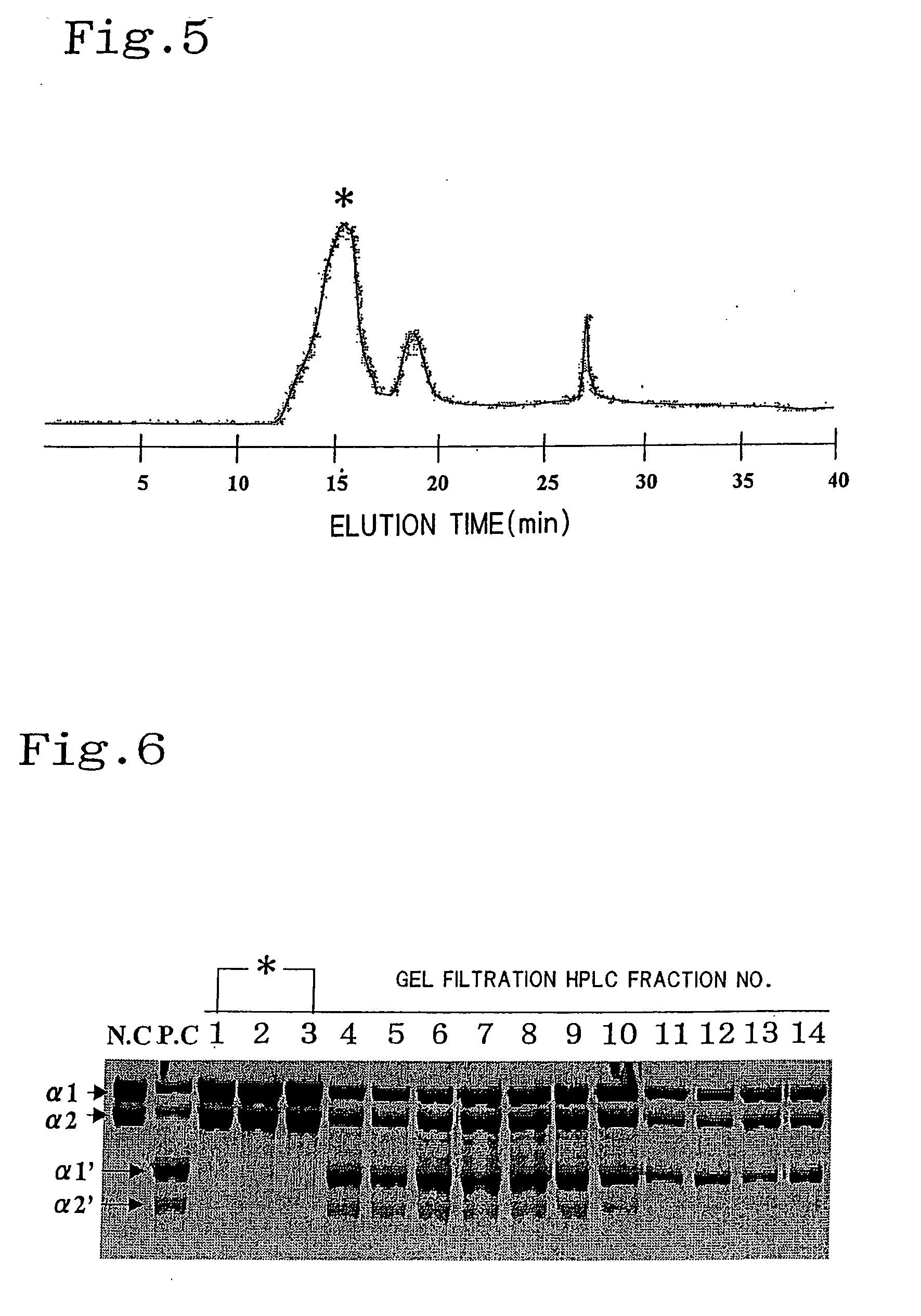 Proteoglycan isolated from cartilaginous fish and process for producing the same