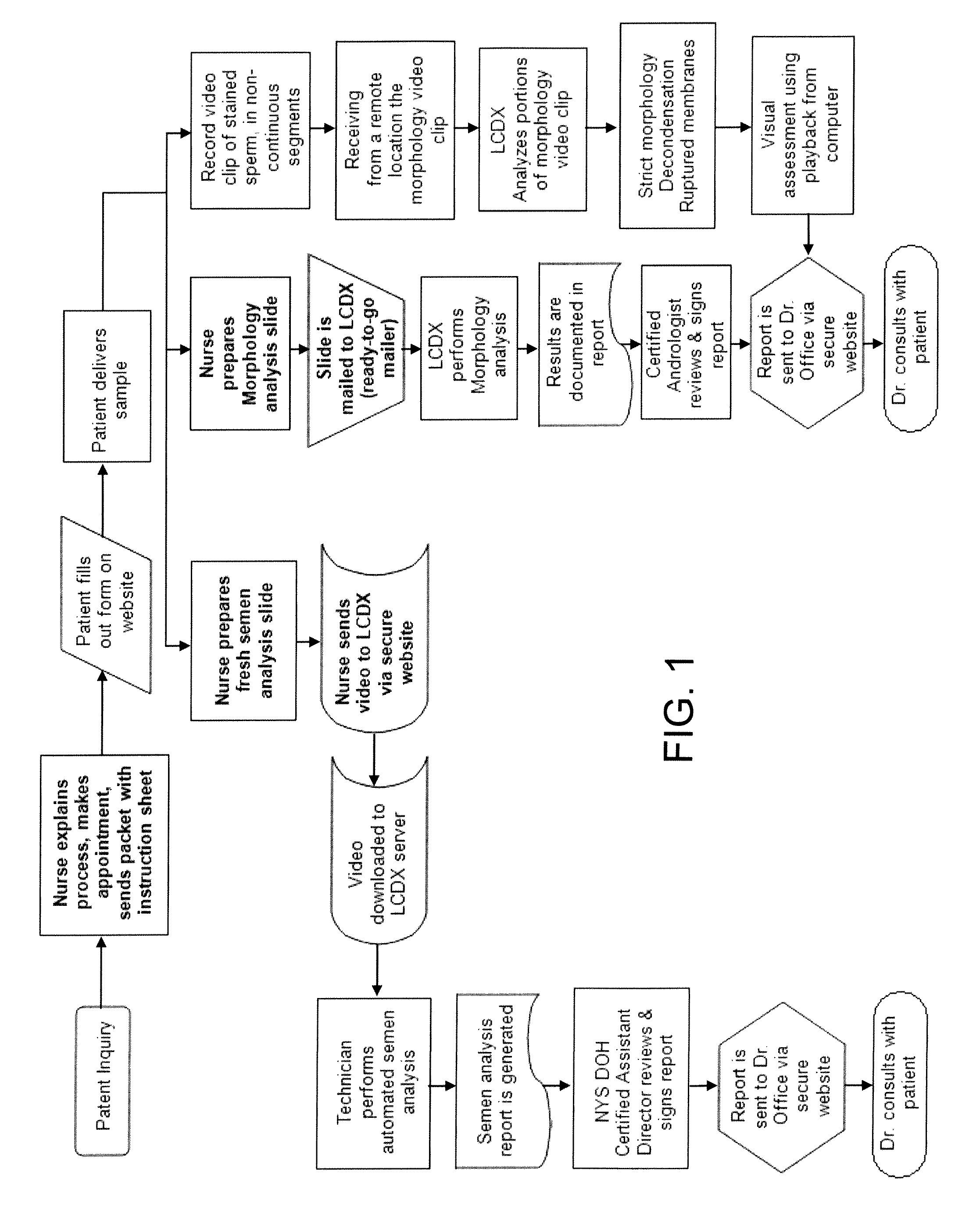 Computer assisted semen analyzer to analyze digital video clips received from a remote location