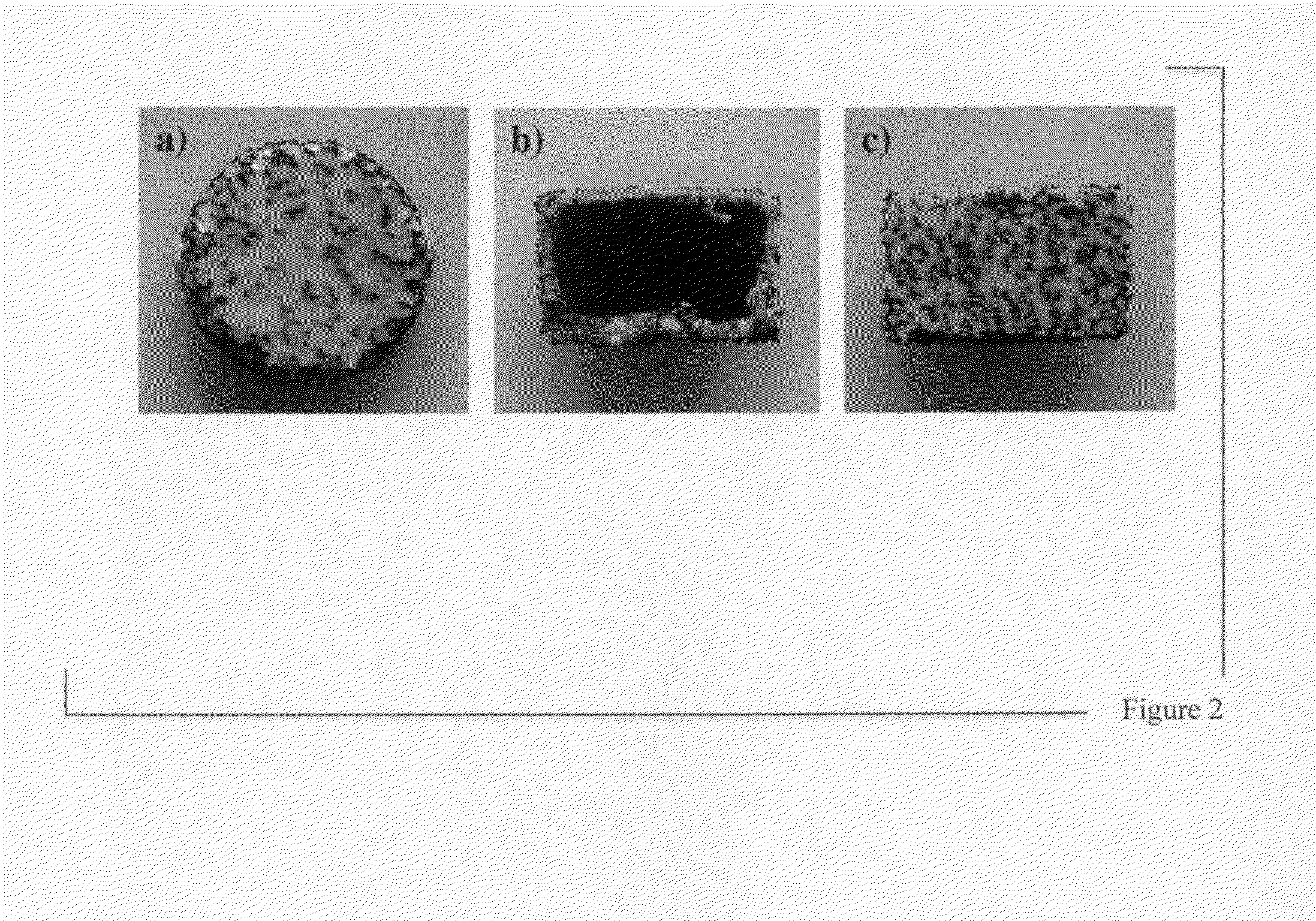 Carbon sorbent for reversible ammonia sorption