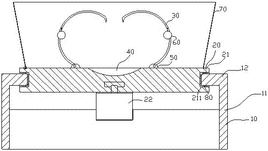 Chestnut removal device