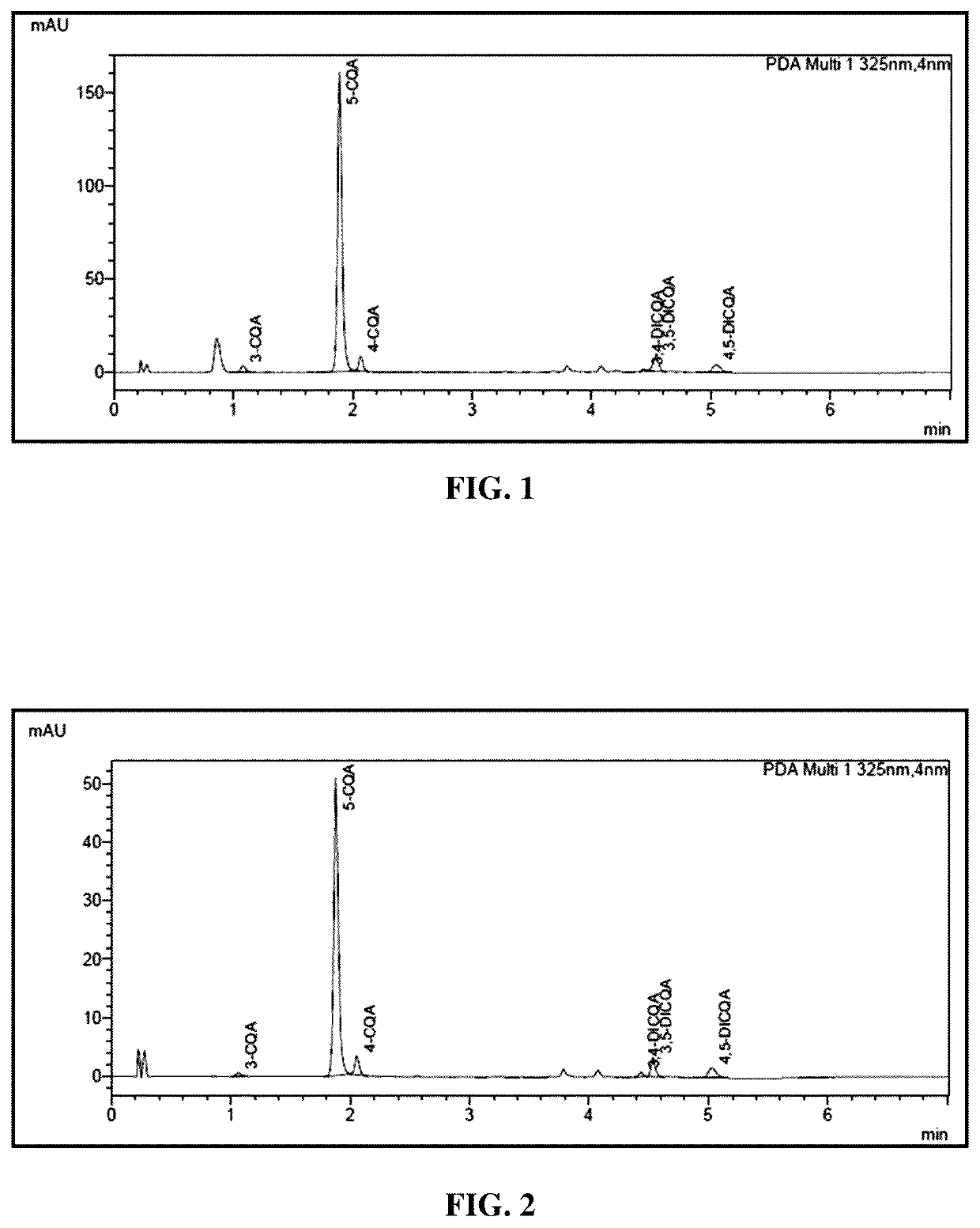 Chlorogenic acid composition for the treatment of metabolic disorders