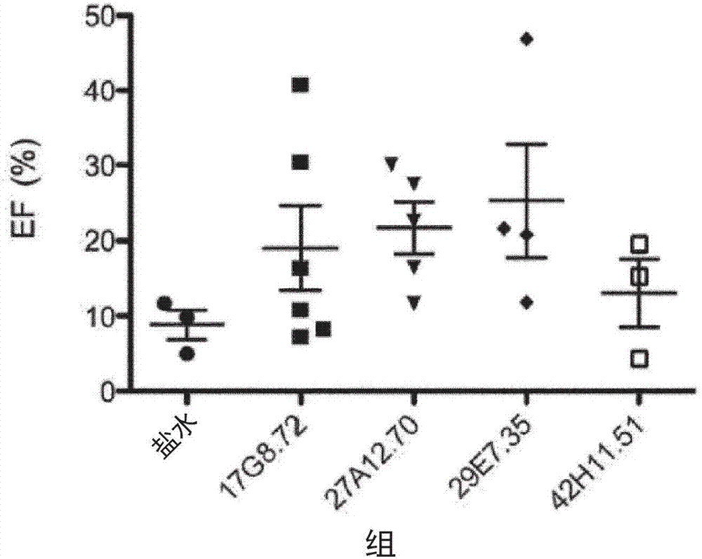 Immunoglobulin-like molecules directed against fibronectin-eda