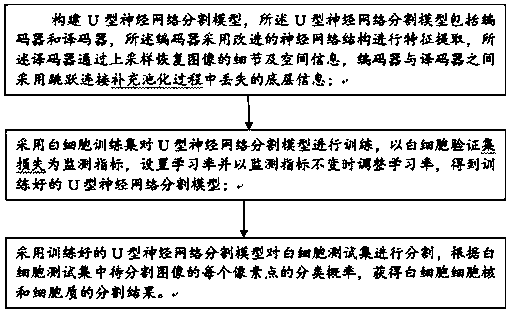 Leukocyte nucleus and cytoplasm automatic segmentation method and system based on deep learning