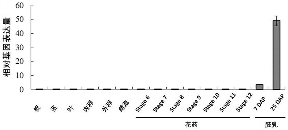 Identification and application of a plant endosperm-specific expression promoter posens100