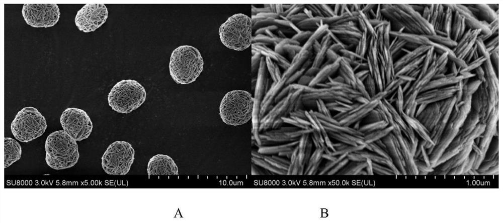 A kind of high-nickel ternary precursor of polycrystalline structure and preparation method thereof