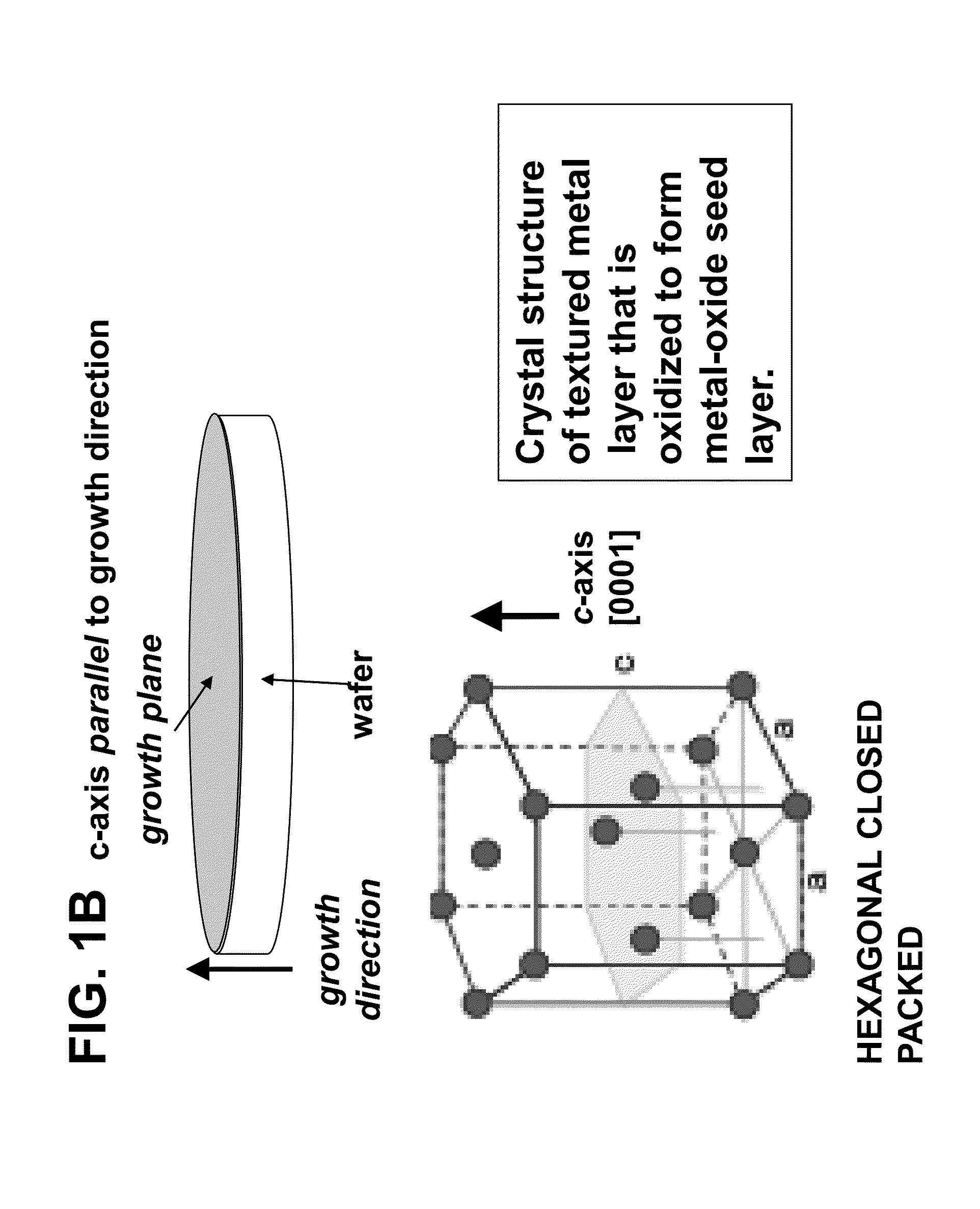 Thermally oxidized seed layers for the production of  textured electrodes and pzt devices and method of making