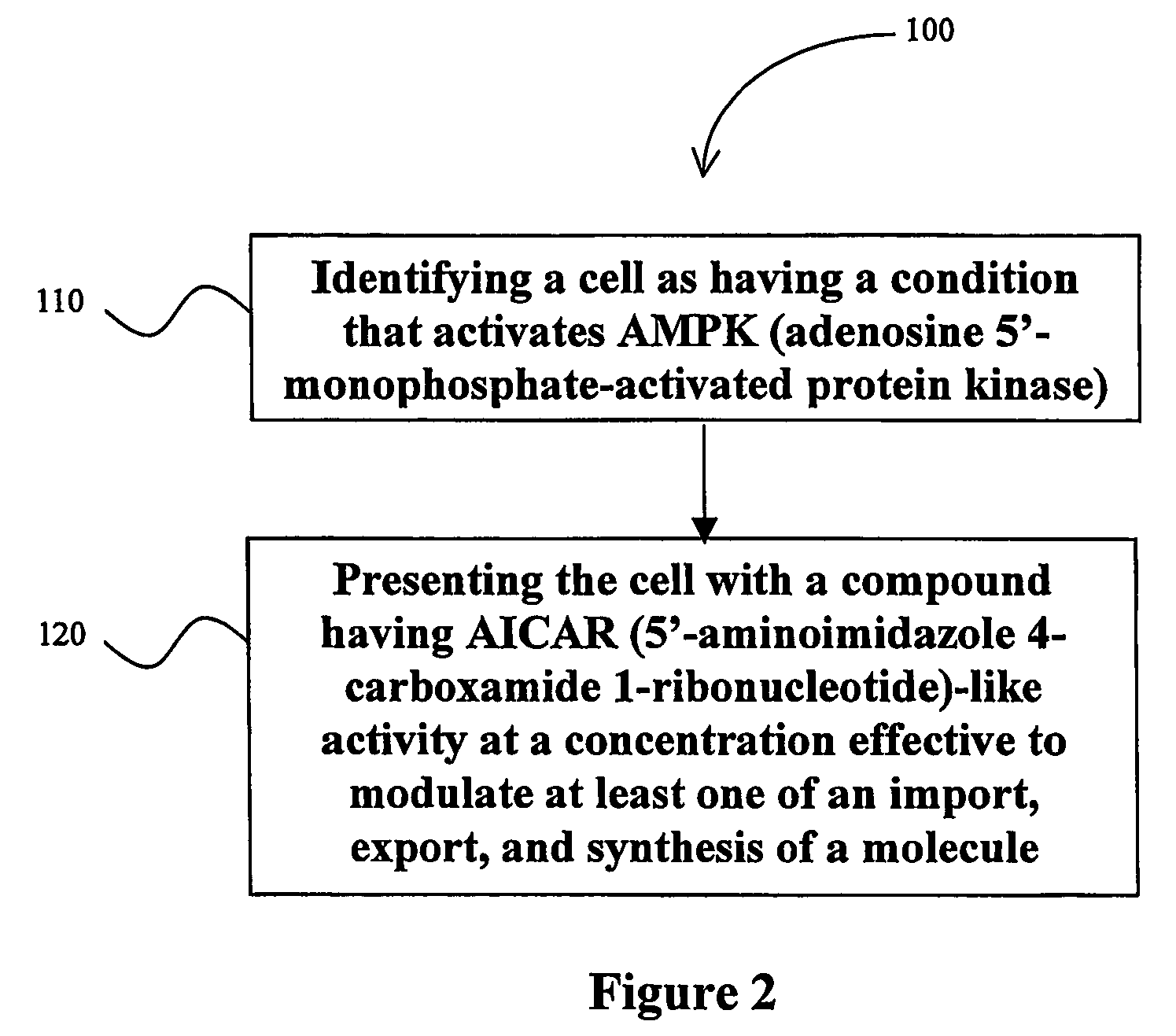 Compositions and methods for treating NIDDM and other conditions and disorders associated with AMPK regulation