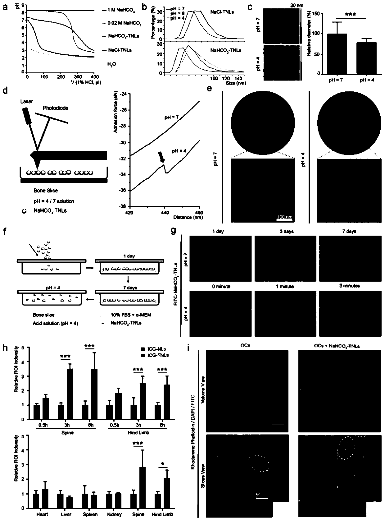 Nano material for osteoclast acidic closed region and preparation method thereof