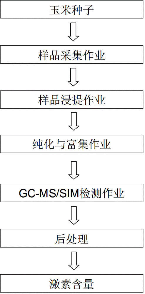 Corn coleorhiza endogenous hormone detection technology