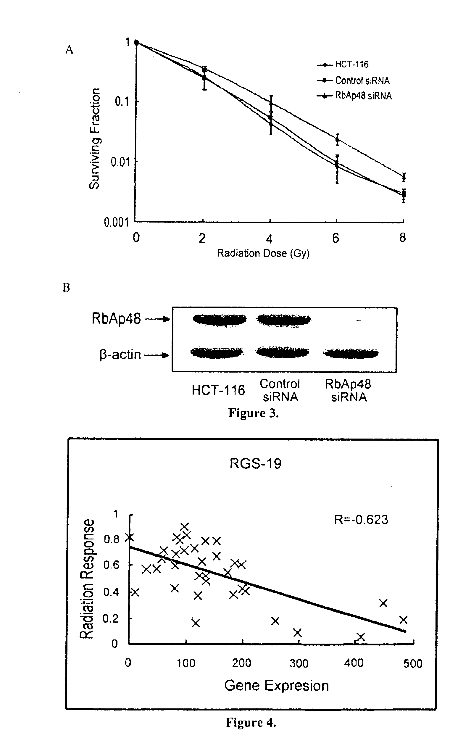 Predictive Radiosensitivity Network Model