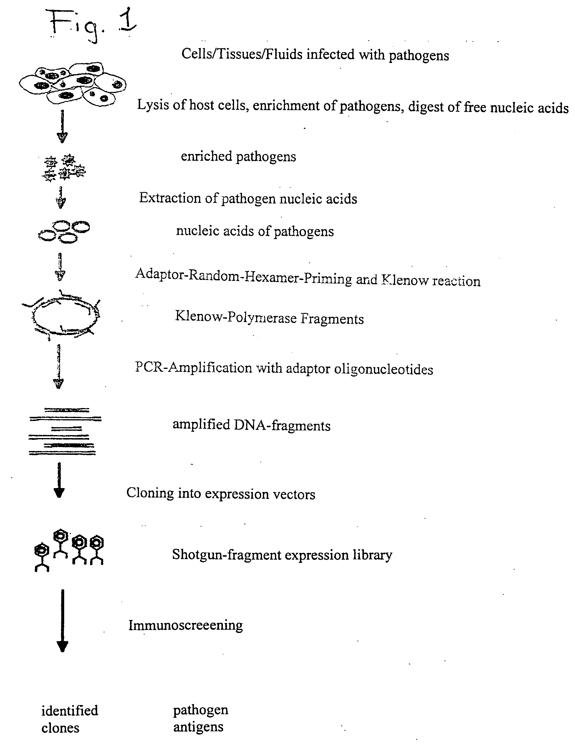 Method for identifying biologically active structures of microbial pathogens