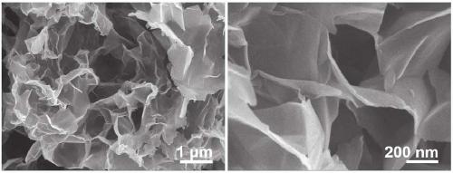 Nitrogen-doped porous graphite-like carbon nanosheet as well as preparation and electrocatalytic application thereof