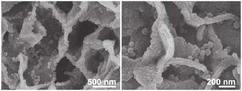 Nitrogen-doped porous graphite-like carbon nanosheet as well as preparation and electrocatalytic application thereof